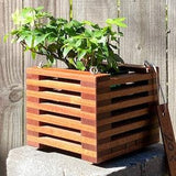 203. Salvaged Sapele Wood Hanging Basket Planter for Orchids, Bromeliads, Ferns, Cacti, Other Epiphytes and Succulents