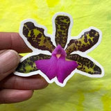 Orchid Sticker, Die-cut weather resistant vinyl sticker, Orchid lovers gift, Laptop sticker, Weather resistant sticker, flower sticker