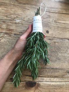 Fresh Organic Rosemary Kitchen Herb Bundle of 10 - 11 inch Flower Delivery