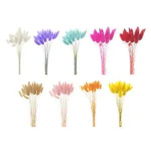 Dried Flowers Bouquets Stems Flower Arrangement   Decor