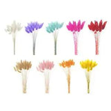 Dried Flowers Bouquets Stems Flower Arrangement   Decor