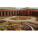 Water Lily Longwood Gardens Pools Kennett Square PA Postcard