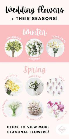 All you need to know about wedding flowers and their seasons Flower Delivery
