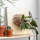 DIY Plant mouting Vertical garden kit