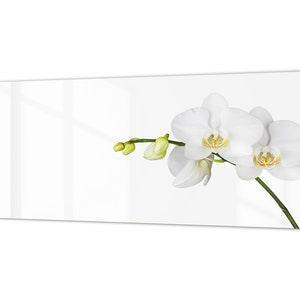 Contemporary glass kitchen panel - Wide format wall backsplash Flowers&Plants Series: White orchid closeup 2