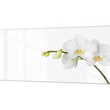 Contemporary glass kitchen panel - Wide format wall backsplash Flowers&Plants Series: White orchid closeup 2