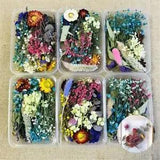Assroetd Real Dried Flowers Pressed Leaves for Epoxy Resin Jewelry Making DIY US