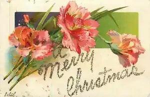 Postcard Greetings Merry Christmas Peonies Flowers Divided Germany Made