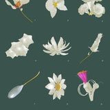 A Collection of Flowers