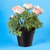 Artificial potted plant, 12 cm, in/outdoor/Ranunculus pink