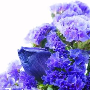 Wavyleaf Sea Lavender Statice Blue Flowers 0.3g - 70 Seeds - Limonium Sinuatum NON GMO