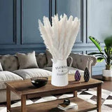 30 pcs Pampas Natural Pampas Grass Dried Flowers Small Bouquet Home Office Decor