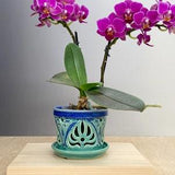 Small Orchid Pot - Floral Design - Slip Trailed Pottery - Ceramic Luminary