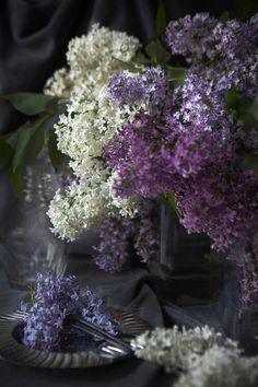 hardsadness Flower Delivery