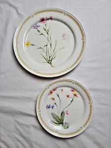 January flower Carnation Mikasa Natures Garden dinner plate and salad plate