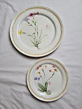 January flower Carnation Mikasa Natures Garden dinner plate and salad plate