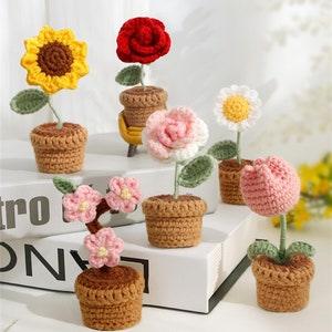 Crochet Plants,  Crochet Monstera Plants, Houseplant Decor,  Car Charms, Crochet Potted Flower, Crochet Decor, Home Decor, Gift for kids