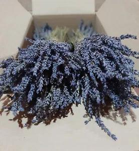 Greek Dried Lavender Bunch and Buds 300 stems + 50g Flowers Organic Harvest 2023