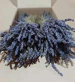 Greek Dried Lavender Bunch 300 stems 1 bunch 30-32 cm Organic Harvest July 2023