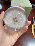 Resin Dandelion Real Natural Plants Specimen Crystal Lens Ball Gift w/Box Stock