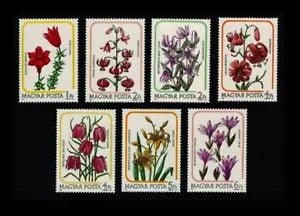 Hungary Lily Family Flowers  1985  MNH**