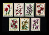 Hungary Lily Family Flowers  1985  MNH**