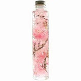 Japan Herbarium Nice Sakura from Japan 0045