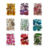 Pressed Dried Flowers Floral Leaves for Resin DIY Wedding Art Crafts Making