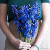 Dark Blue Delphinium | Fresh DIY Wedding Flowers | Flower Moxie Flower Delivery