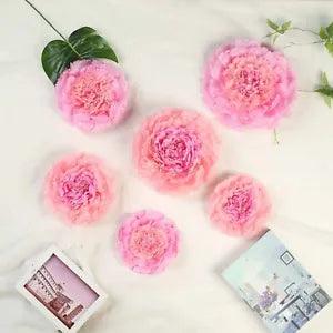 12 pack 7" 9" 11" Blush and Pink Tissue Paper Carnation Flowers Backdrop