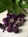 Cats eye 20 pods purple buds Dried Decor 1-2 inch bowl filler