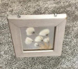 Vintage Dried Pressed Flowers in Frame 360 View