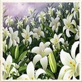DIY 5D The Beautiful Lilies Round Diamond Painting Cross Stitch Kits Decorative