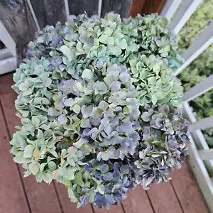 9 Dried Hydrangea Flowers Green Purple Greenish Blue DIY Wedding Farmhouse Craft