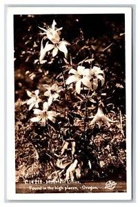 RPPC Mountain Lilies In Oregon OR Sawyer's Postcard V6