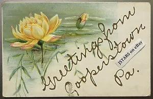 1907 - 1909 COOPERSTOWN, PA, WATER LILY FLOWER EMBOSSED GREETINGS POSTCARD