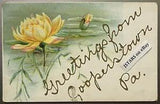 1907 - 1909 COOPERSTOWN, PA, WATER LILY FLOWER EMBOSSED GREETINGS POSTCARD