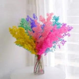 High Quality Dried Flower Penglai Song Bouquet Home Accessory Photo Props Decors