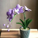 Crochet Orchid Plant Handmade Crochet Orchid Home Decoration Orchid Home Desk Decor Orchid Crocheted Flower Handmade Gift Idea for Her