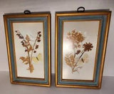 Pair Of Pressed Dried Flowers & Butterflys 11" X 7" Framed Pictures Elsie Kraft