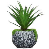 Artificial Aloe Vera Plant With PotVase For Living Room Office Decor- Pack of 2