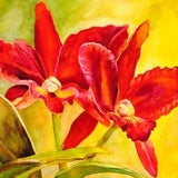 Watercolor painting of a red orchid. Giclee print