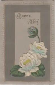 Greetings 1908 postcard velvet fabric water lilies flowers novelty postcard