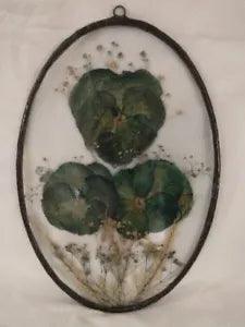 Vtg Dried & Pressed Flowers in Oval Clear See Through Glass 6" X 9" With Hanger