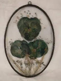 Vtg Dried & Pressed Flowers in Oval Clear See Through Glass 6" X 9" With Hanger