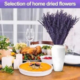Purple Dried Lavender Flowers Bundle - 15''-17 " Real Dry purple-1.76oz