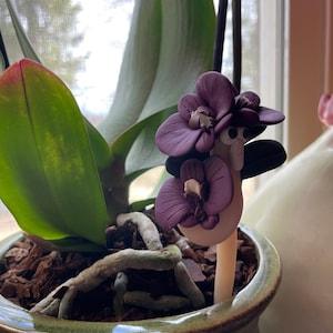 Moisture Detector Purple Orchid Squirmy Wormy