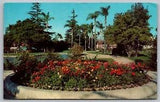 Anaheim California CA Ranunculus Flowers City Park Postcard PM Clean Cancel WOB