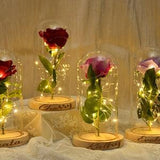 Valentine's day Eternal Rose LED Light with custom name,Personalized Eternal rose in Glass Dome,Valentine's Gift,Galaxy Rose,Girlfriend Gift