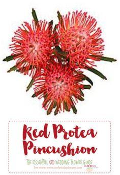 Names and Types of Red Wedding Flowers with Seasons + Pics Flower Delivery